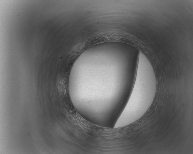 X0000081360772200701111131