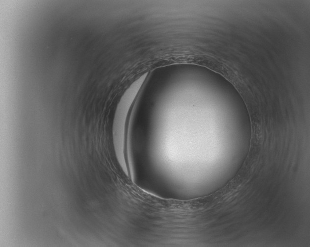 X0000081360818200701111130