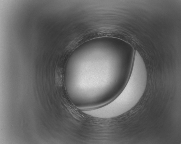 X0000081360868200701111130