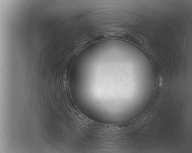 X0000081360915200701111128