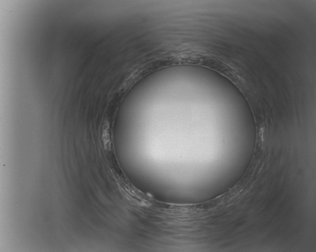 X0000081360963200701111128
