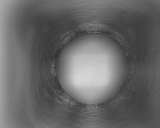 X0000081360964200701111128