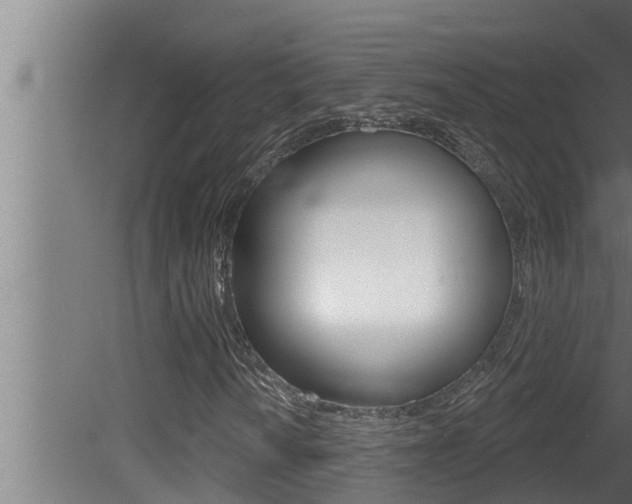 X0000081361010200701111127