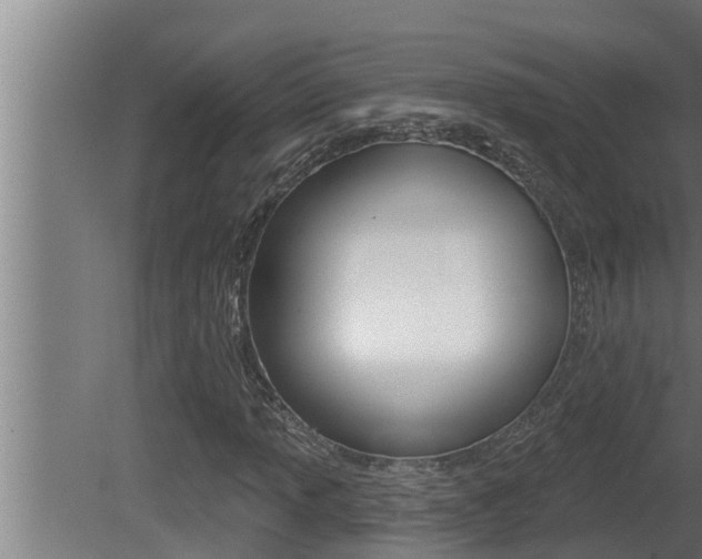 X0000081361013200701111127