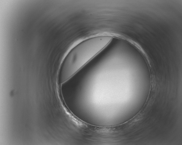 X0000081361048200701111127