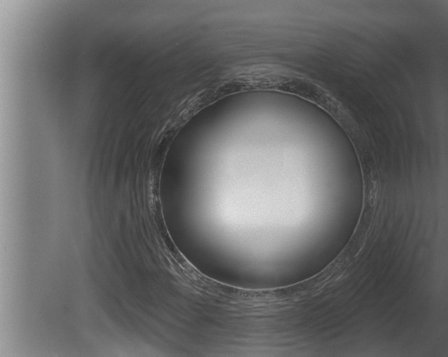 X0000081361108200701111125