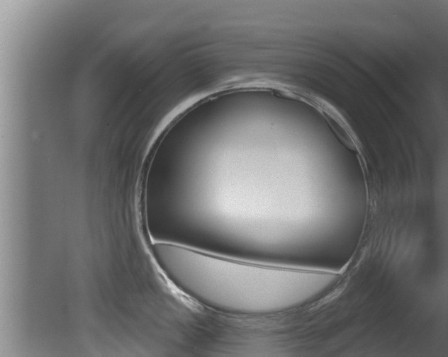 X0000081361149200701111126