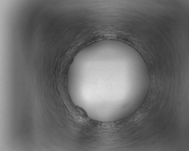 X0000081361249200701111123