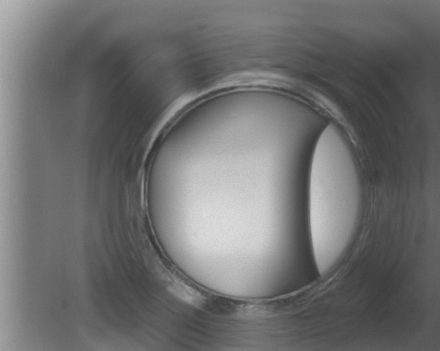 X0000081361275200701111123