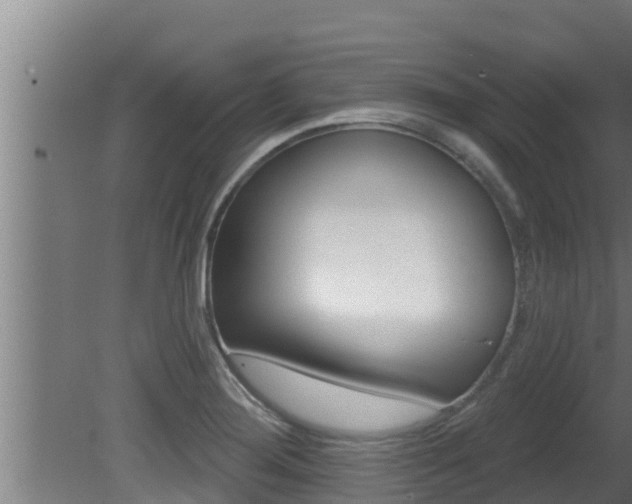 X0000081361276200701111123