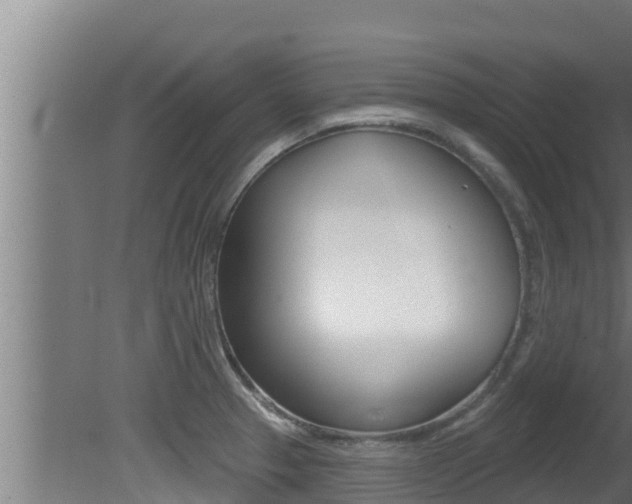 X0000081361329200701111122