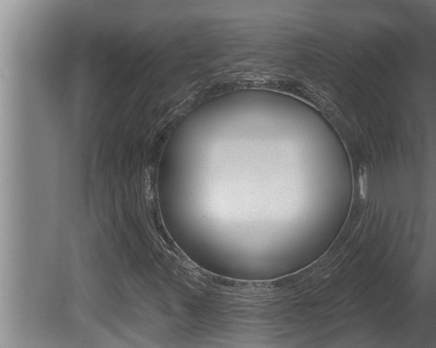 X0000081361347200701111122