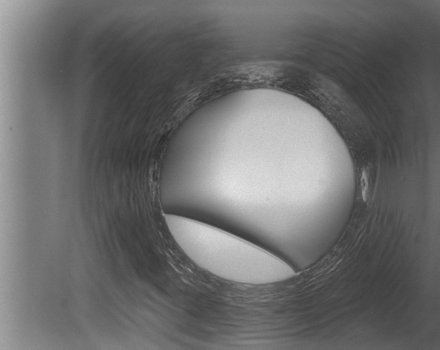 X0000081361395200701111120