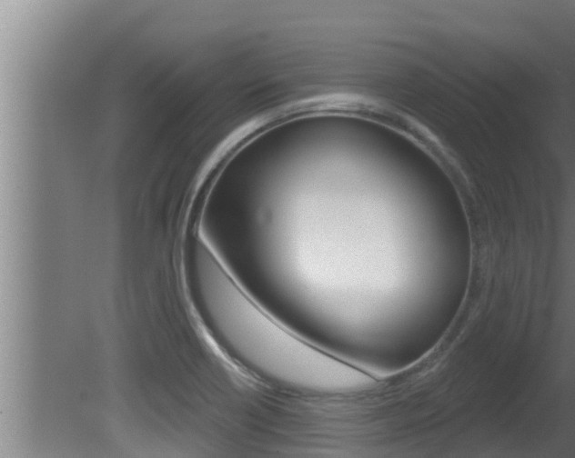 X0000081361418200701111120