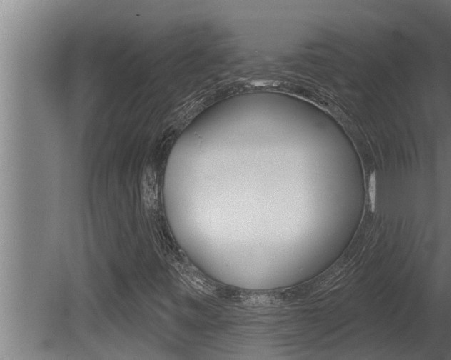 X0000081361443200701111120