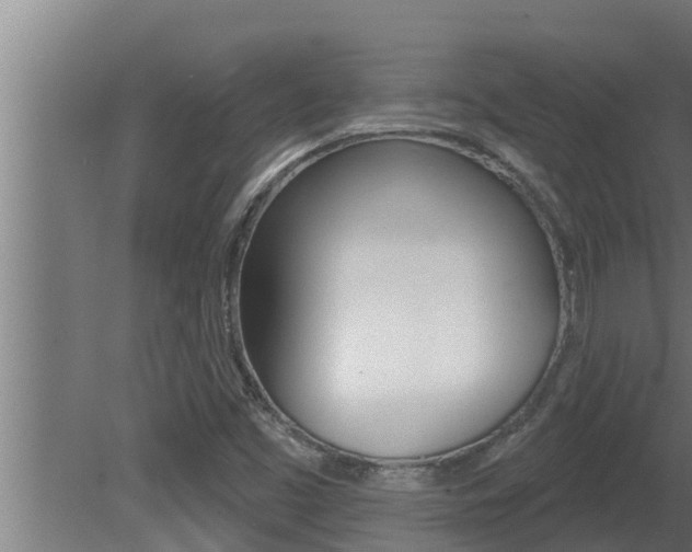 X0000081361453200701111120