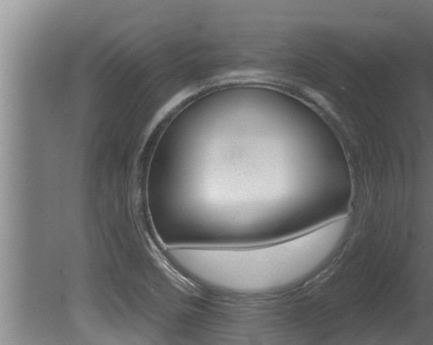 X0000081361458200701111120