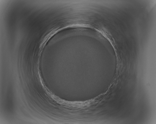 X0000081360001200701111534