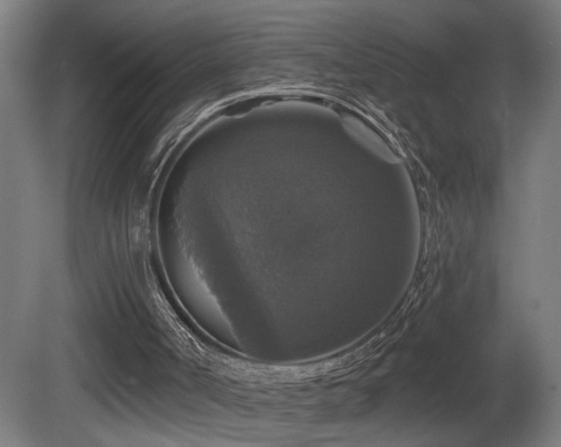 X0000081360002200701111534
