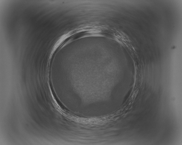 X0000081360003200701111534