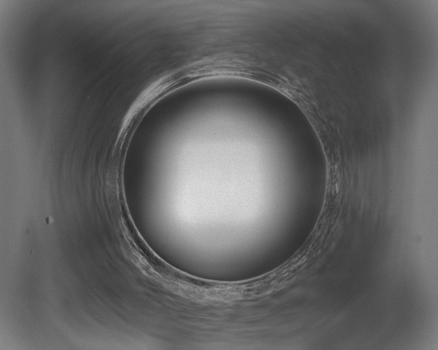 X0000081360004200701111534
