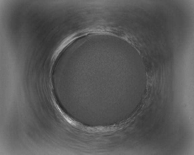X0000081360005200701111534