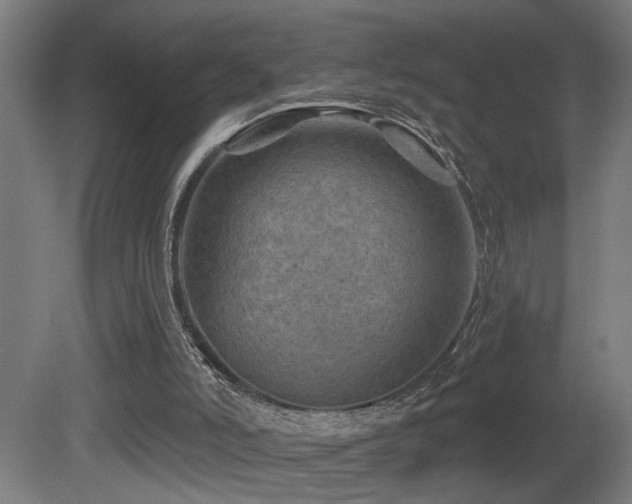 X0000081360006200701111534