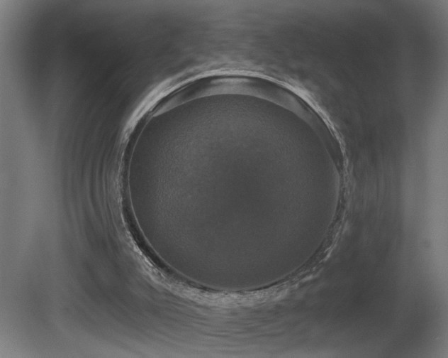 X0000081360007200701111534