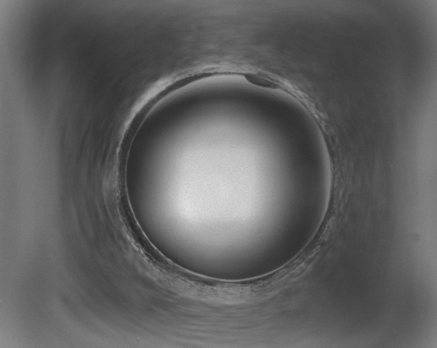 X0000081360008200701111534