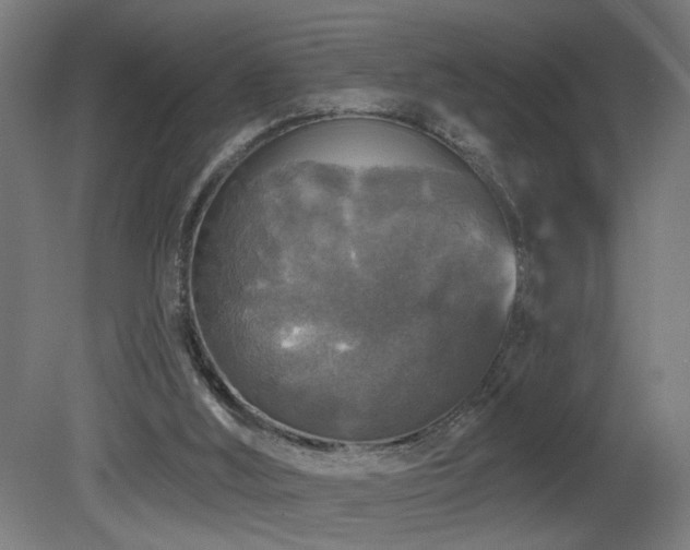 X0000081360012200701111533