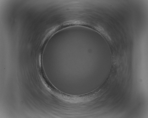X0000081360014200701111533