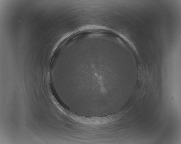 X0000081360015200701111533