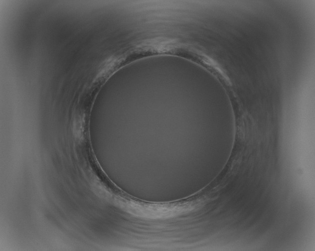 X0000081360018200701111533