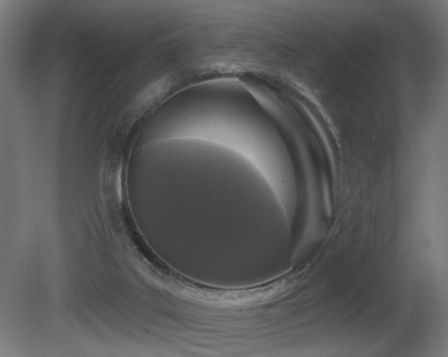 X0000081360019200701111533