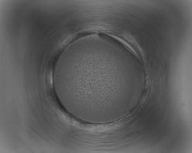 X0000081360021200701111533