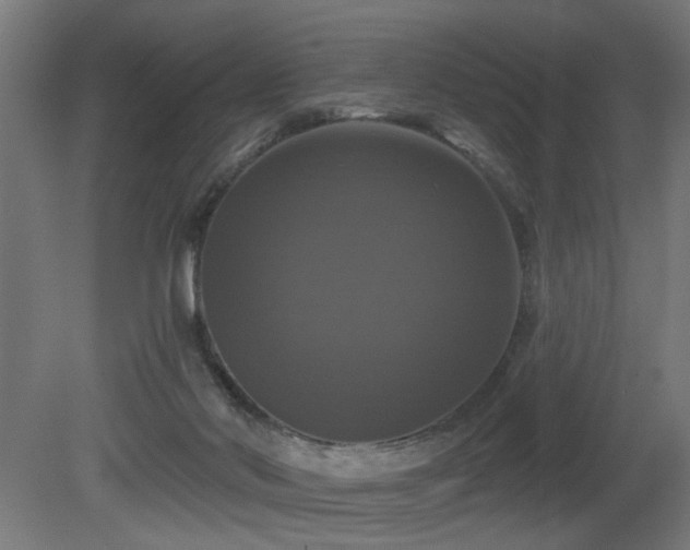 X0000081360022200701111533
