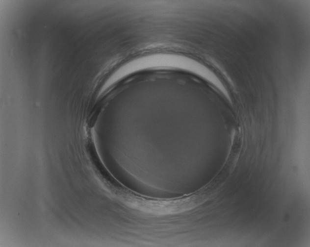 X0000081360023200701111533