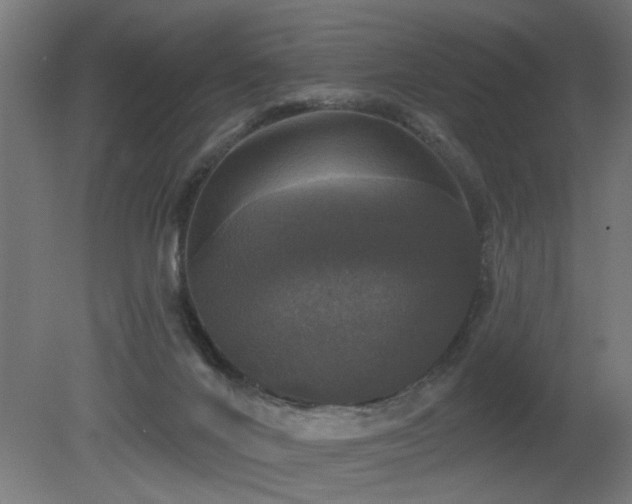 X0000081360024200701111533