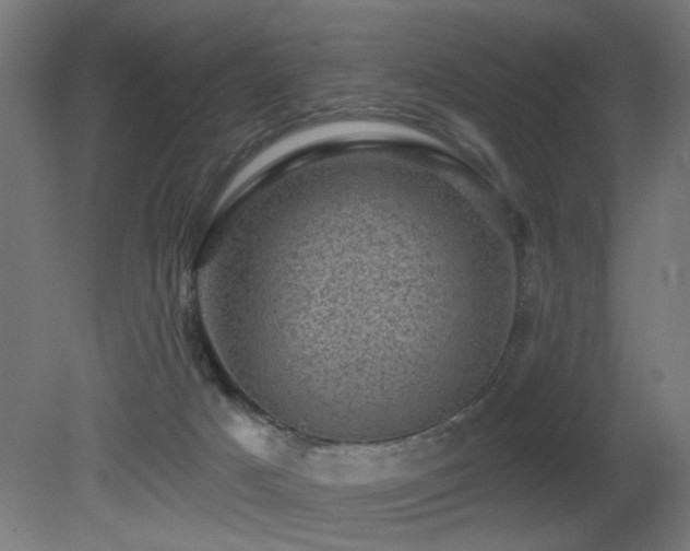 X0000081360025200701111533