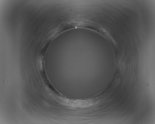 X0000081360026200701111533