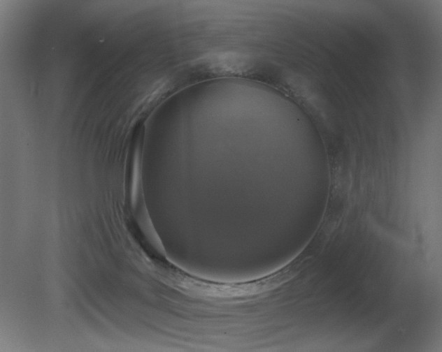 X0000081360027200701111533