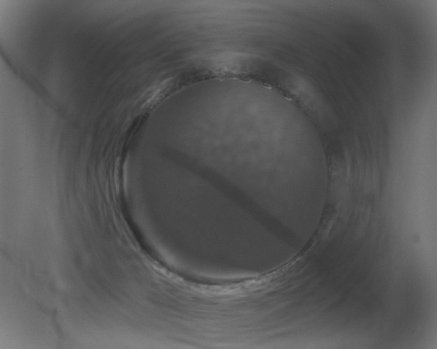 X0000081360029200701111533