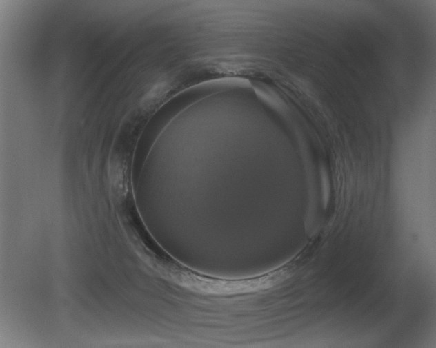 X0000081360031200701111533