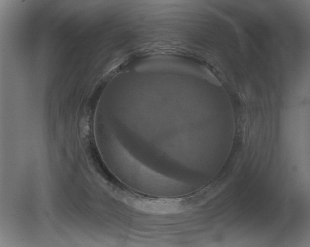 X0000081360032200701111533