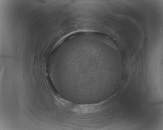 X0000081360033200701111533