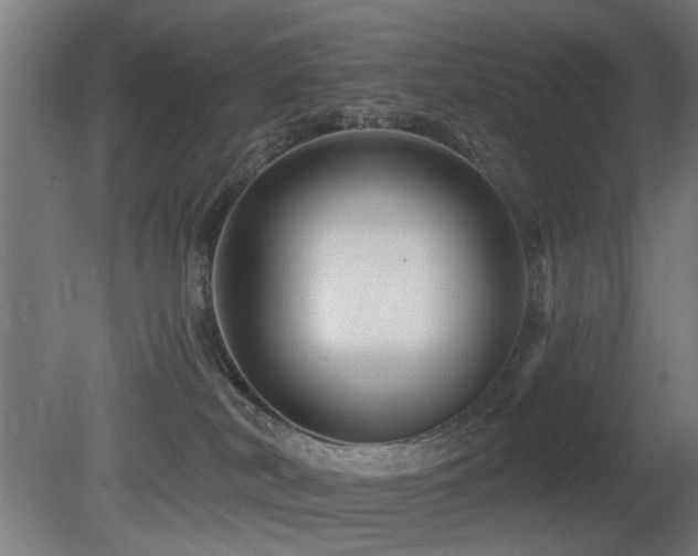 X0000081360038200701111533