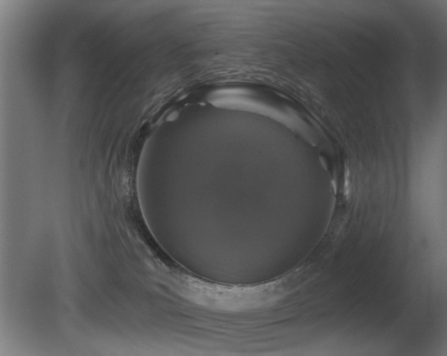 X0000081360039200701111533