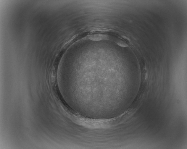 X0000081360040200701111533