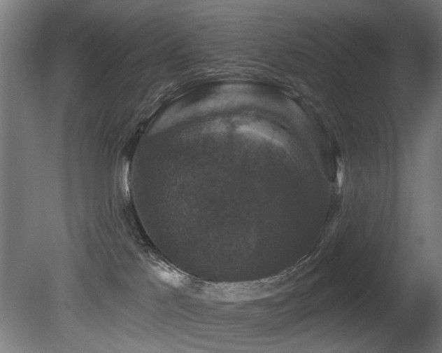 X0000081360041200701111533