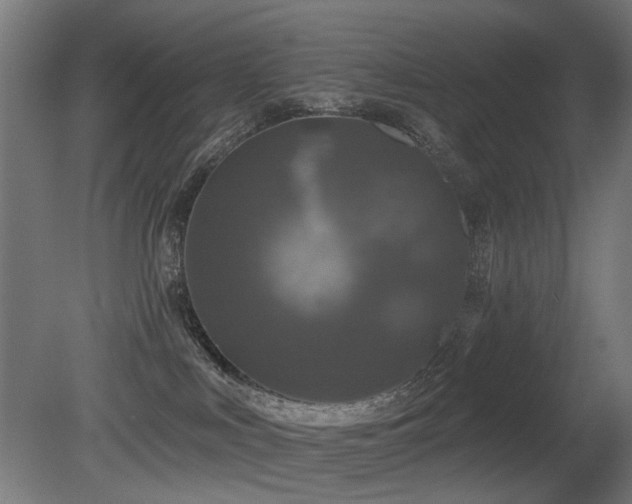 X0000081360043200701111533